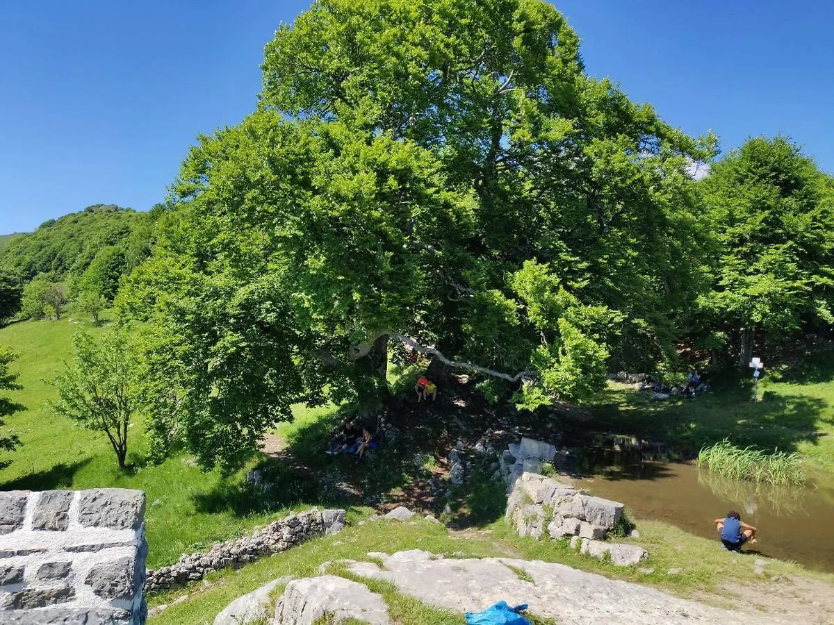 Appartamento Residenza La Cascata Calolziocorte Italia