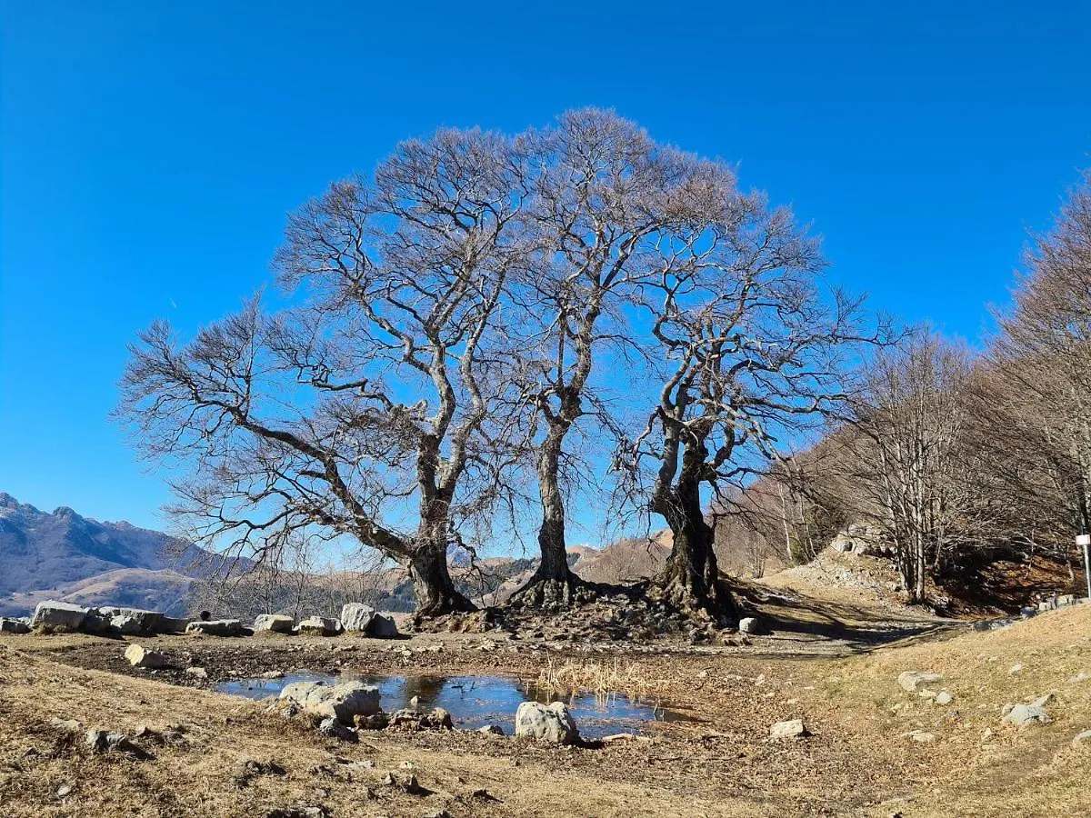 Appartamento Residenza La Cascata Calolziocorte