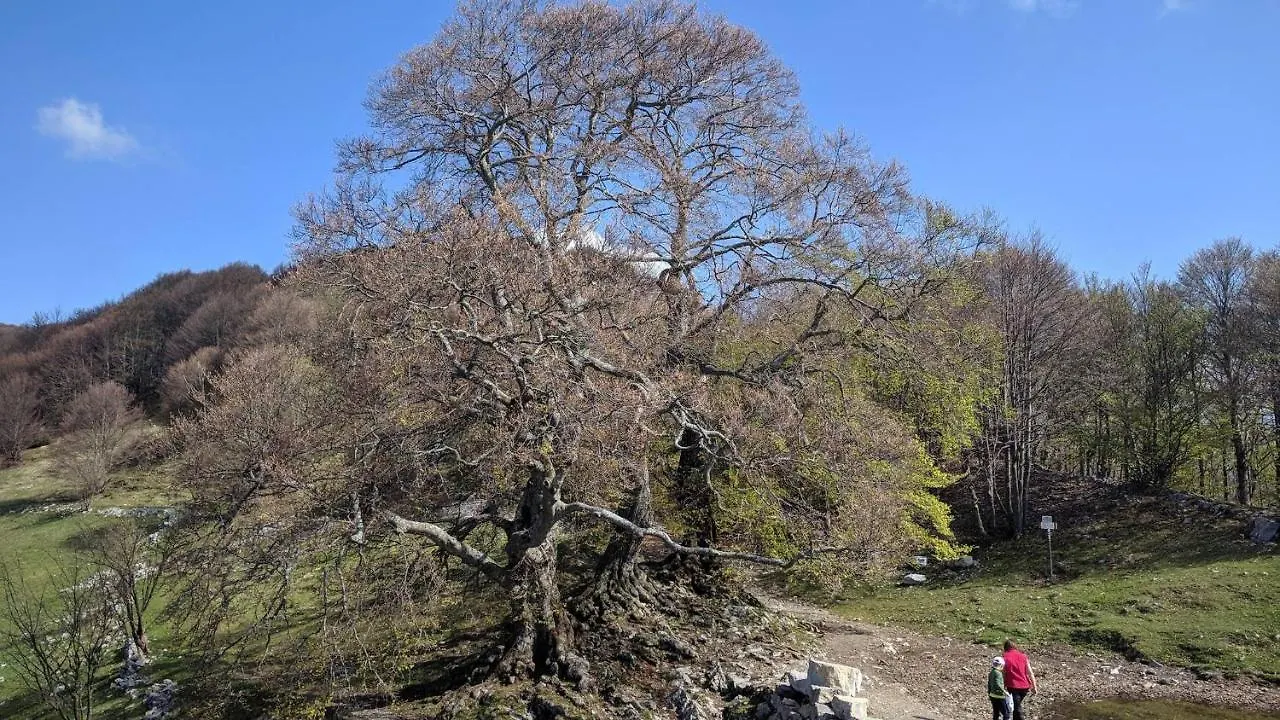 Appartamento Residenza La Cascata Calolziocorte
